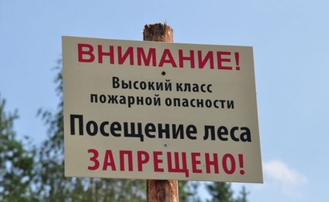 В 84 районах Беларуси ввели запрет на посещение лесов