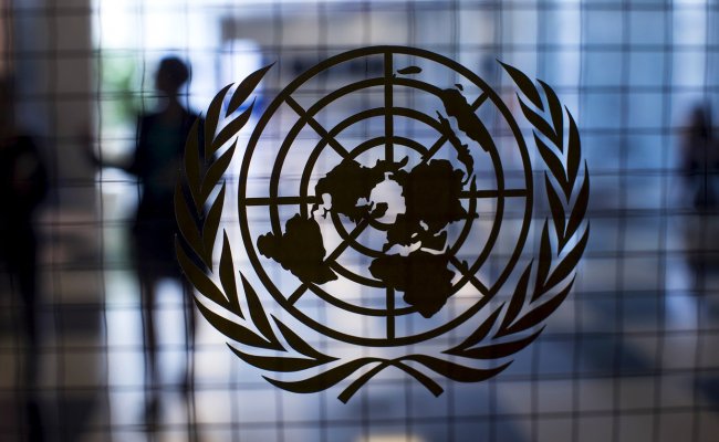 Эксперты ООН призвали прекратить задержания и аресты перед президентскими выборами