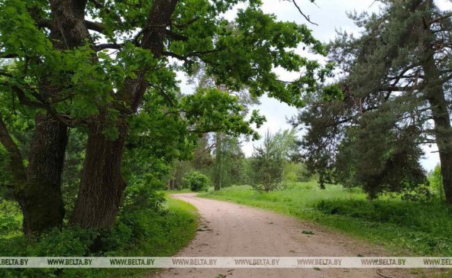 Запреты на посещение лесов действуют в 18 районах Беларуси