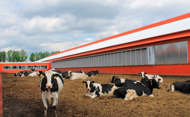 Власти Беларуси выделят 46 млн рублей из госбюджета на строительство молочных ферм