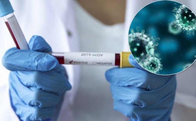 Минздрав получил документы для проведения исследования российской вакцины против коронавируса