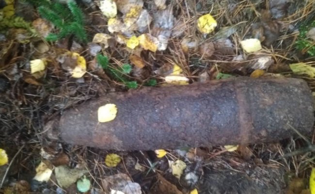 Грибник нашел в Барановичском районе снаряд времен ВОВ