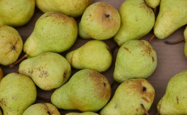 Россельхознадзор отменил запрет на поставку груш из Гродненской области