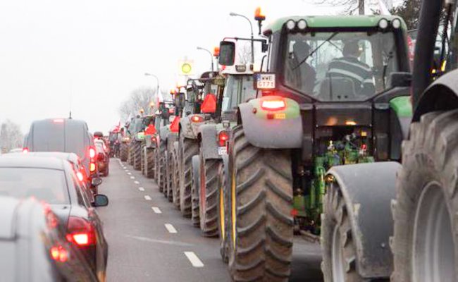 Протест аграриев в Польше: Люди перекрыли дорогу капустой