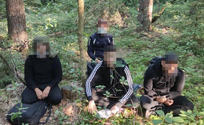 Литовские пограничники на границе с Беларусью задержали еще 133 мигранта