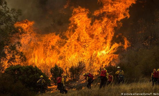 В Калифорнии из-за лесных пожаров эвакуировали более 16 тысяч человек