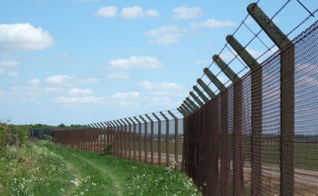 В Эстонии усилили охрану на границе из-за белорусско-литовского потока мигрантов