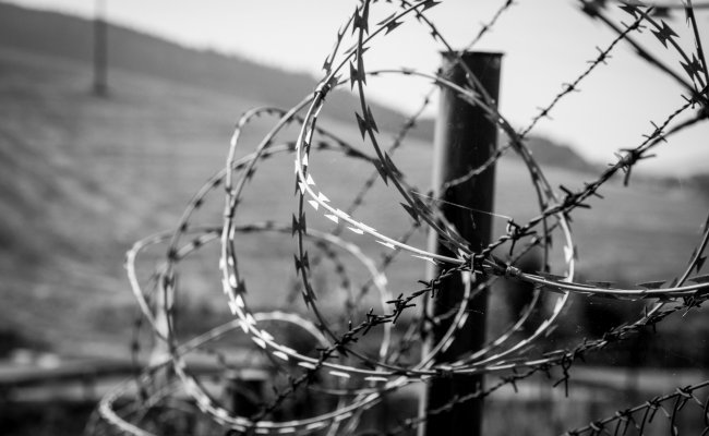 Латвия установит на границе с Беларусью подаренный Словенией забор с колючей проволокой