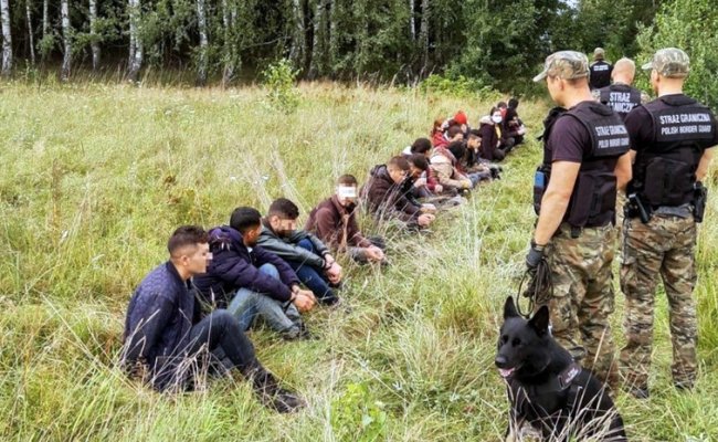 За сутки белорусско-литовскую границу пытались пересечь 40 нелегалов