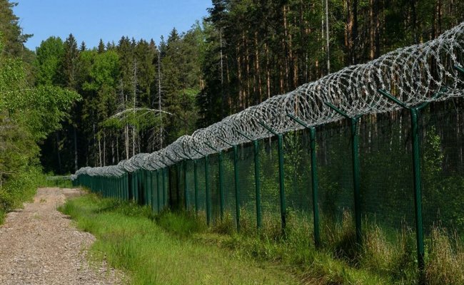 Латвия закупила проволоку на сумму €488,4 тыс. для строительства забора на границе с Беларусью