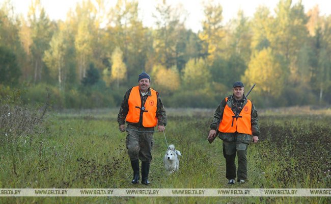 В Беларуси стартовал сезон загонной охоты