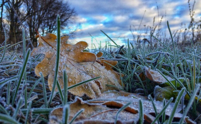 В понедельник синоптики предупредили о заморозках до -5°С