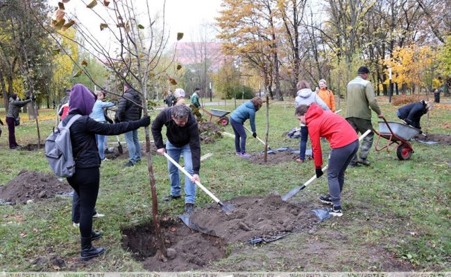 В Минске прошел месячник по наведению порядка, благоустройству и озеленению городских территорий