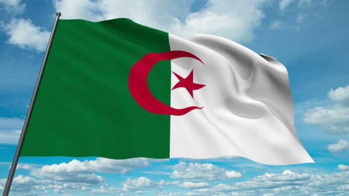 Лукашенко рассчитывает на активизацию политического диалога с Алжиром