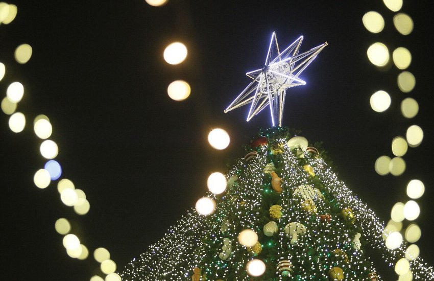 Первая новогодняя елка появилась в Минске