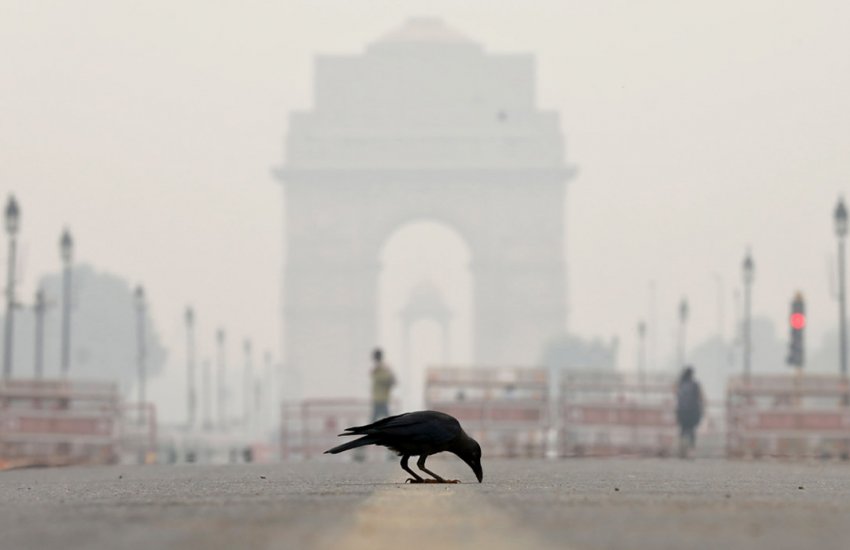 В Дели ограничили работу ТЭС из-за чрезмерного загрязнения воздуха