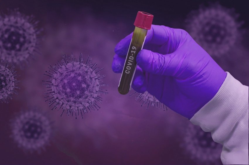 Вирусолог предрекает окончание пандемии из-за «Омикрона»