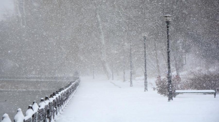 Снег и мороз прогнозируют в Беларуси 6 декабря