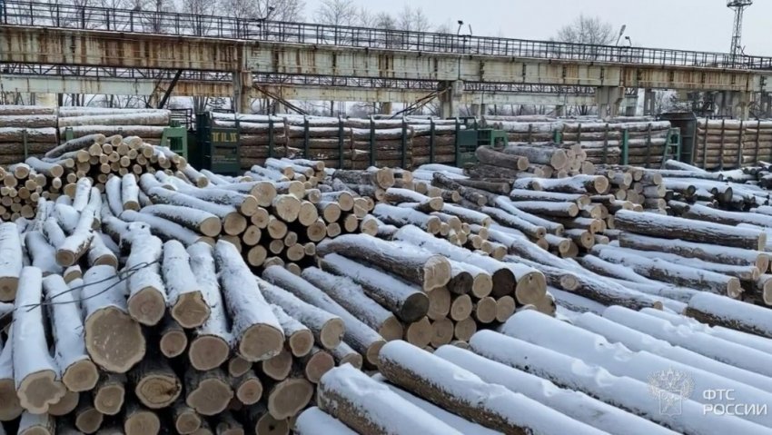 Генпрокуратуры Беларуси и России обсудили борьбу с контрабандой древесины