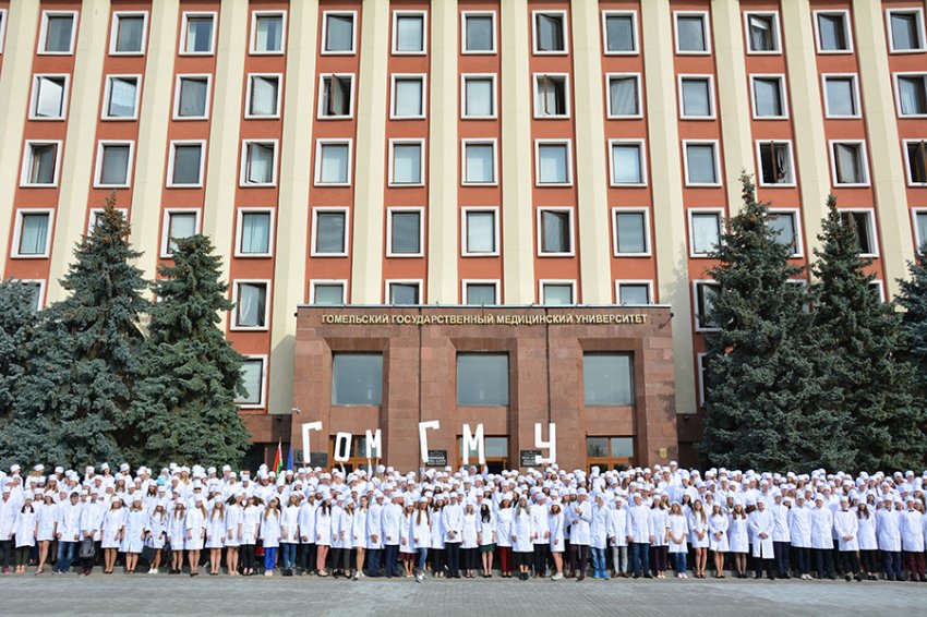 Гомельский медицинский ВУЗ прошел международную аккредитацию