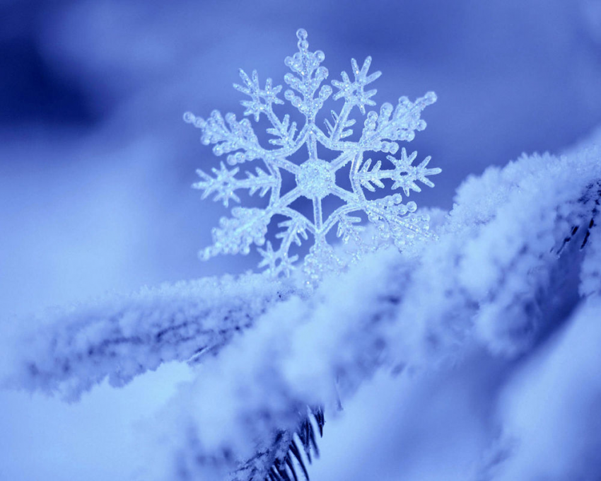 Белорусские синоптики прогнозируют к середине недели до -20°C