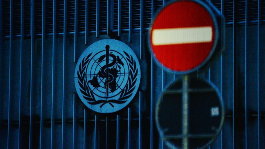 ВОЗ: Пандемия COVID-19 находится на критическом этапе