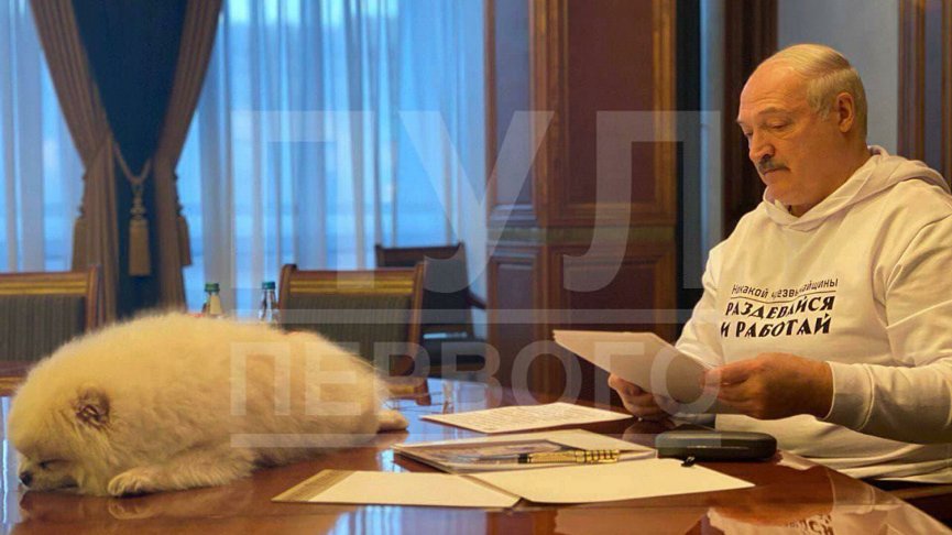 «Пул Первого»: Лукашенко раздавал подарки детям вместе со шпицем Умкой