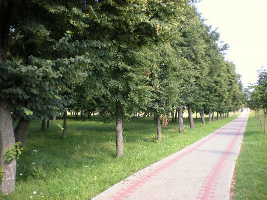 Один из парков Брестской области реконструируют