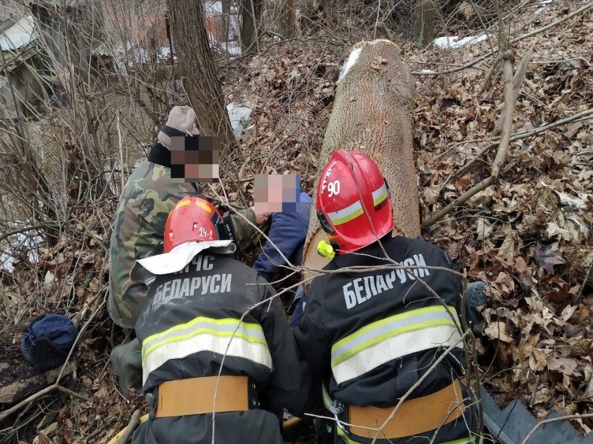 В Мозыре сотрудники МЧС помогли достать мужчину из-под упавшего на него дерева