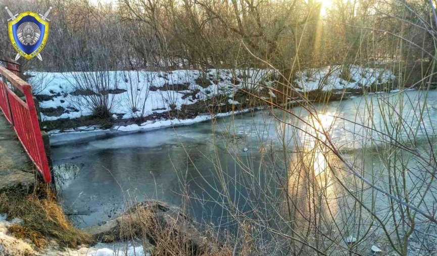 В Могилевской области утонула 5-летняя девочка, пытавшаяся спасти младшего брата