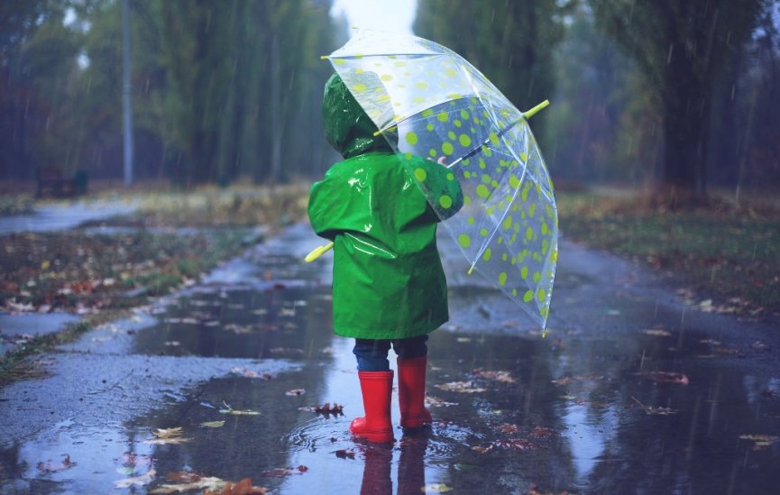 25 марта в Беларуси будет тепло и немного дождливо