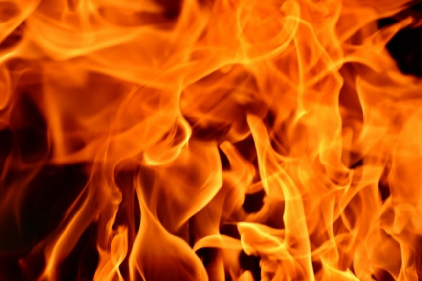 В Витебской области из-за поджога сгорели 30 телят