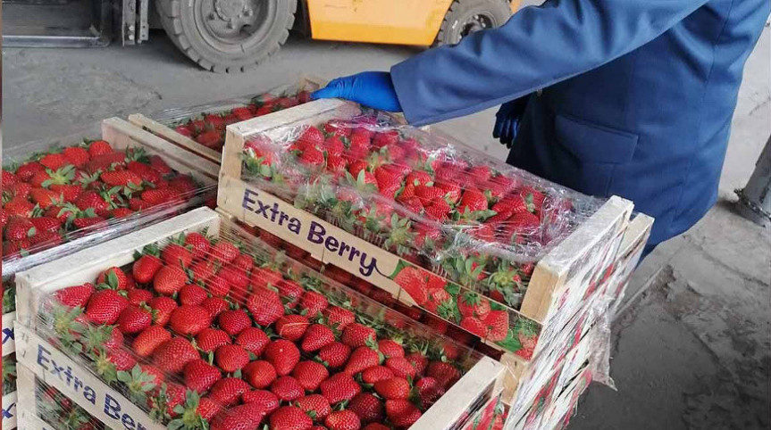 Из России в Беларусь пытались незаконно ввезти почти 900 кг фруктов