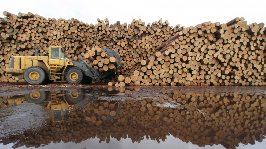 Правительство ввело разовые лицензии на ввоз из ЕС части товаров из древесины